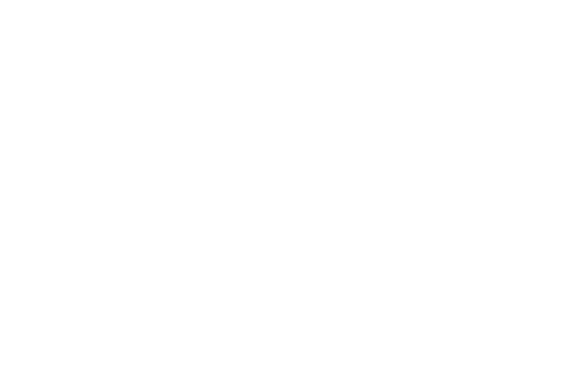 AVM Group