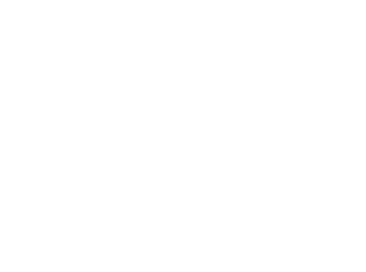 AVM Skills Institute